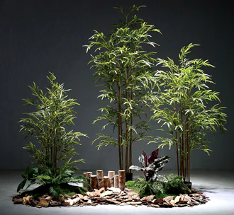 �����̻�ֲ������